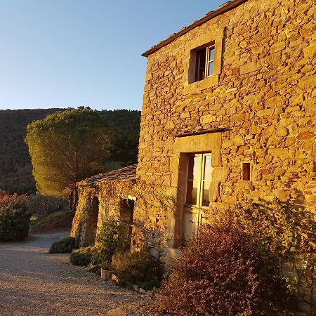 Locanda San Martino A Bocena Κορτόνα Εξωτερικό φωτογραφία