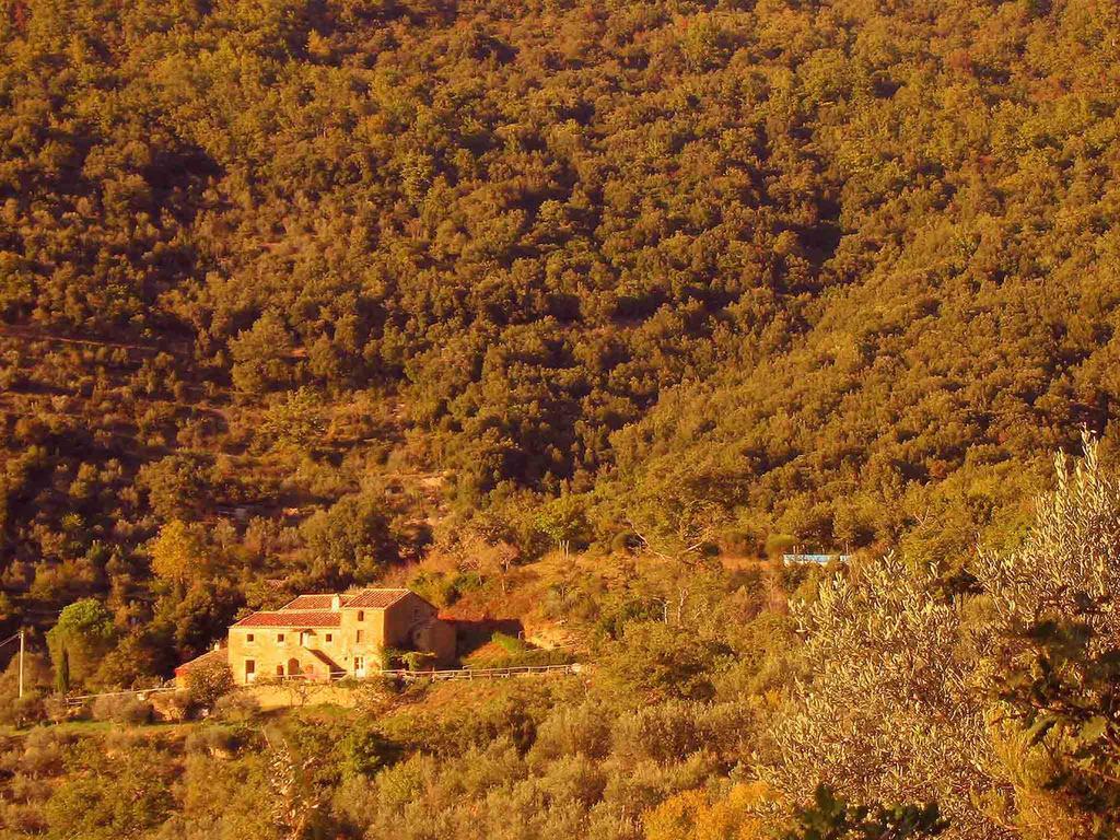 Locanda San Martino A Bocena Κορτόνα Εξωτερικό φωτογραφία