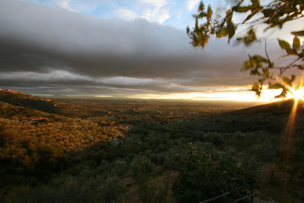 Locanda San Martino A Bocena Κορτόνα Εξωτερικό φωτογραφία