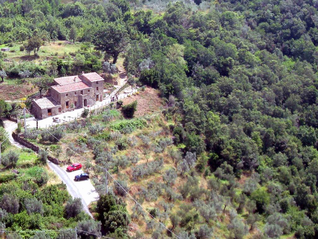 Locanda San Martino A Bocena Κορτόνα Εξωτερικό φωτογραφία