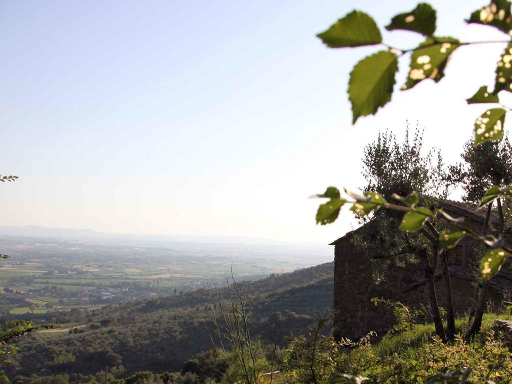 Locanda San Martino A Bocena Κορτόνα Εξωτερικό φωτογραφία